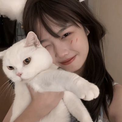 空港达人2汉化版下载